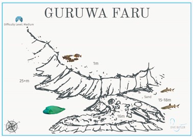 Guruwa Faru